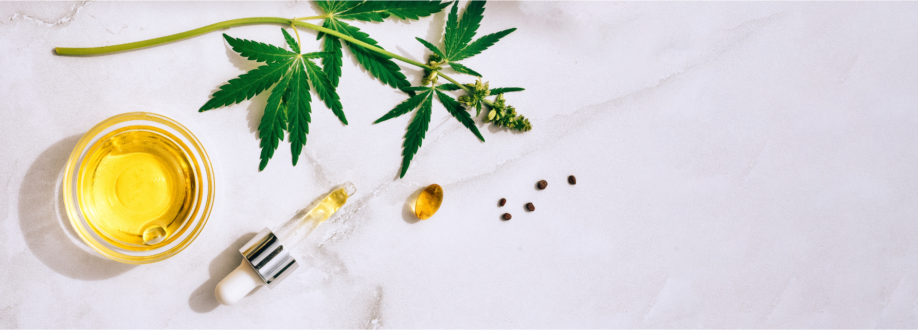 Navigating the World of CBD: Full-Spectrum vs. Isolates