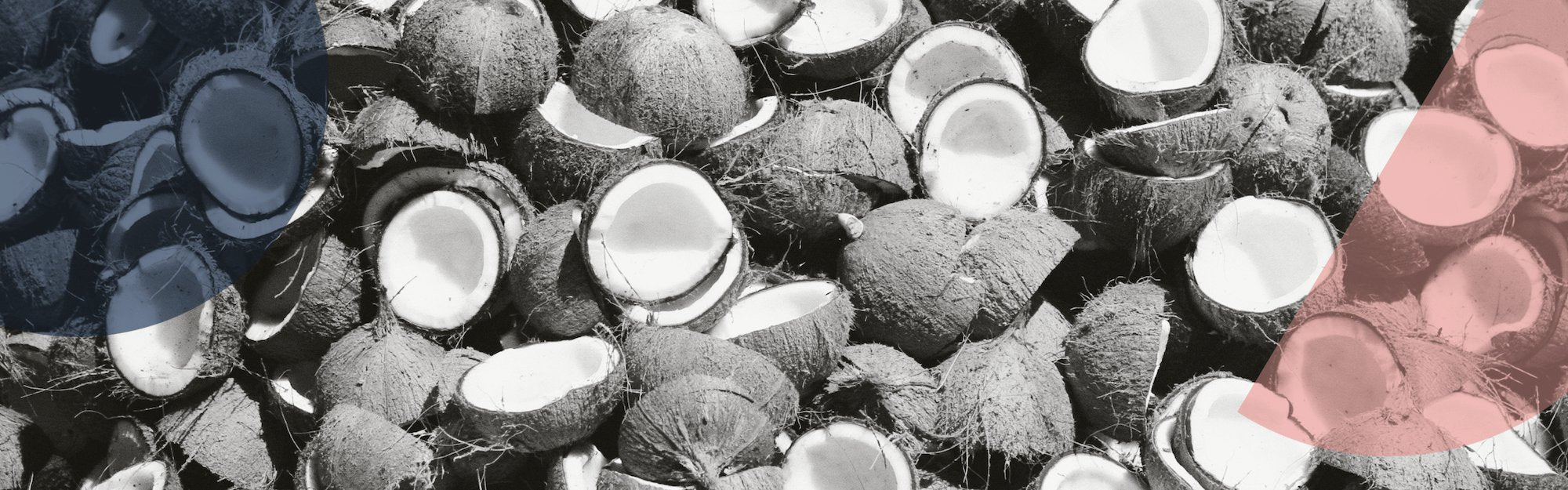 Coconut Oil